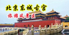 欧美极品色呦呦中国北京-东城古宫旅游风景区